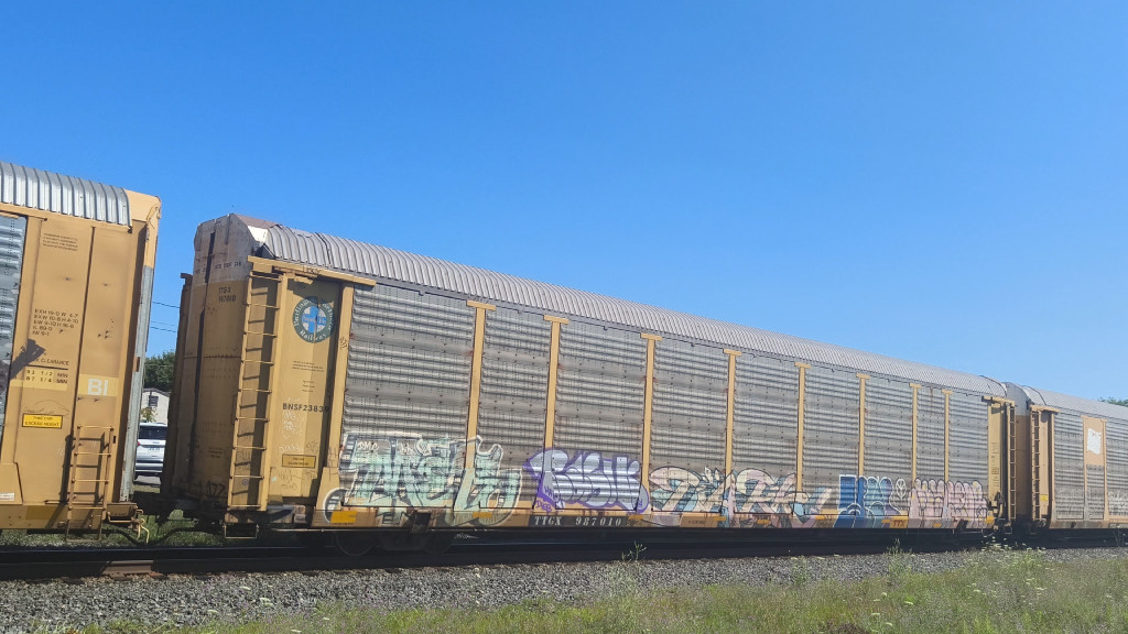 BNSF 23839 (Body) TTGX 987010 (Flat)